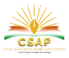 CSAP Academy
