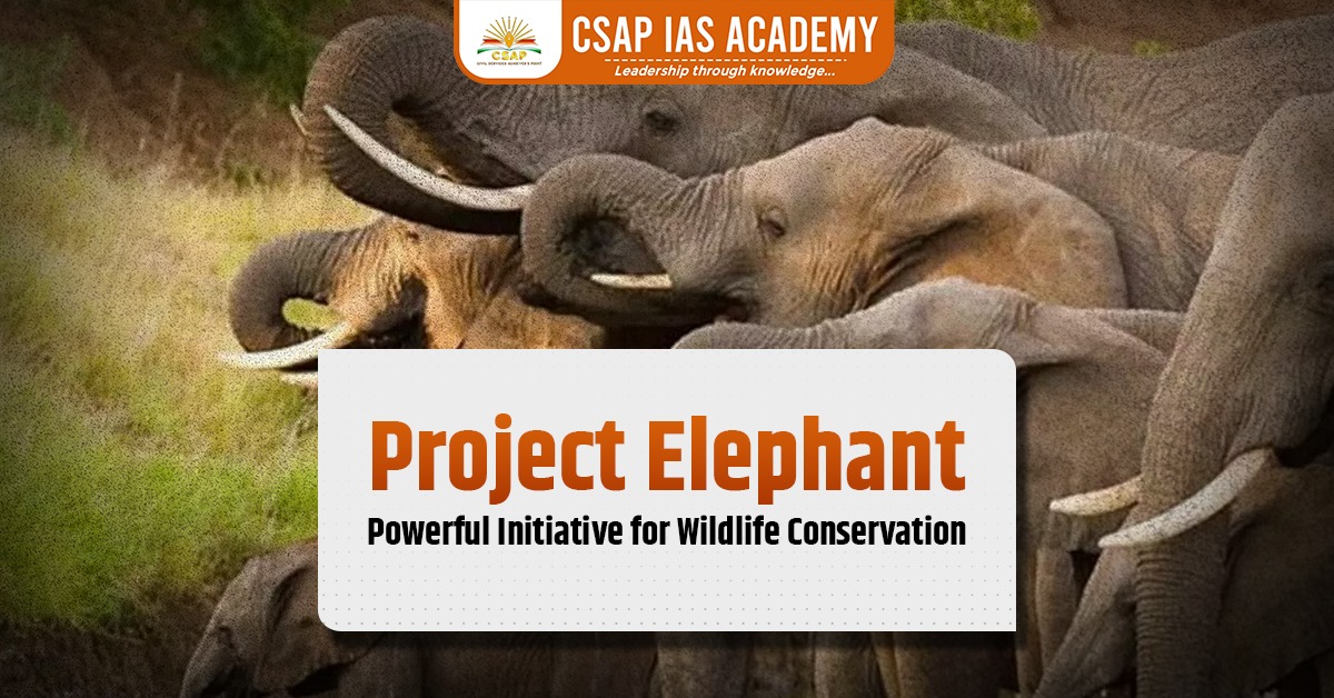Featured image of the blog on Project Elephant: Powerful Initiative for Wildlife Conservation
