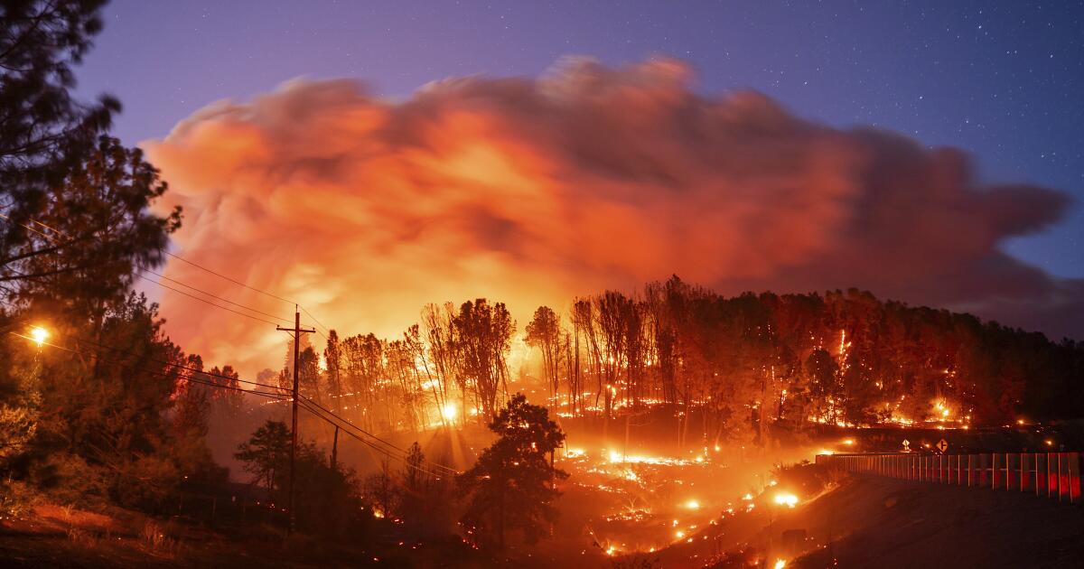 Vulnerability of California Wildfires